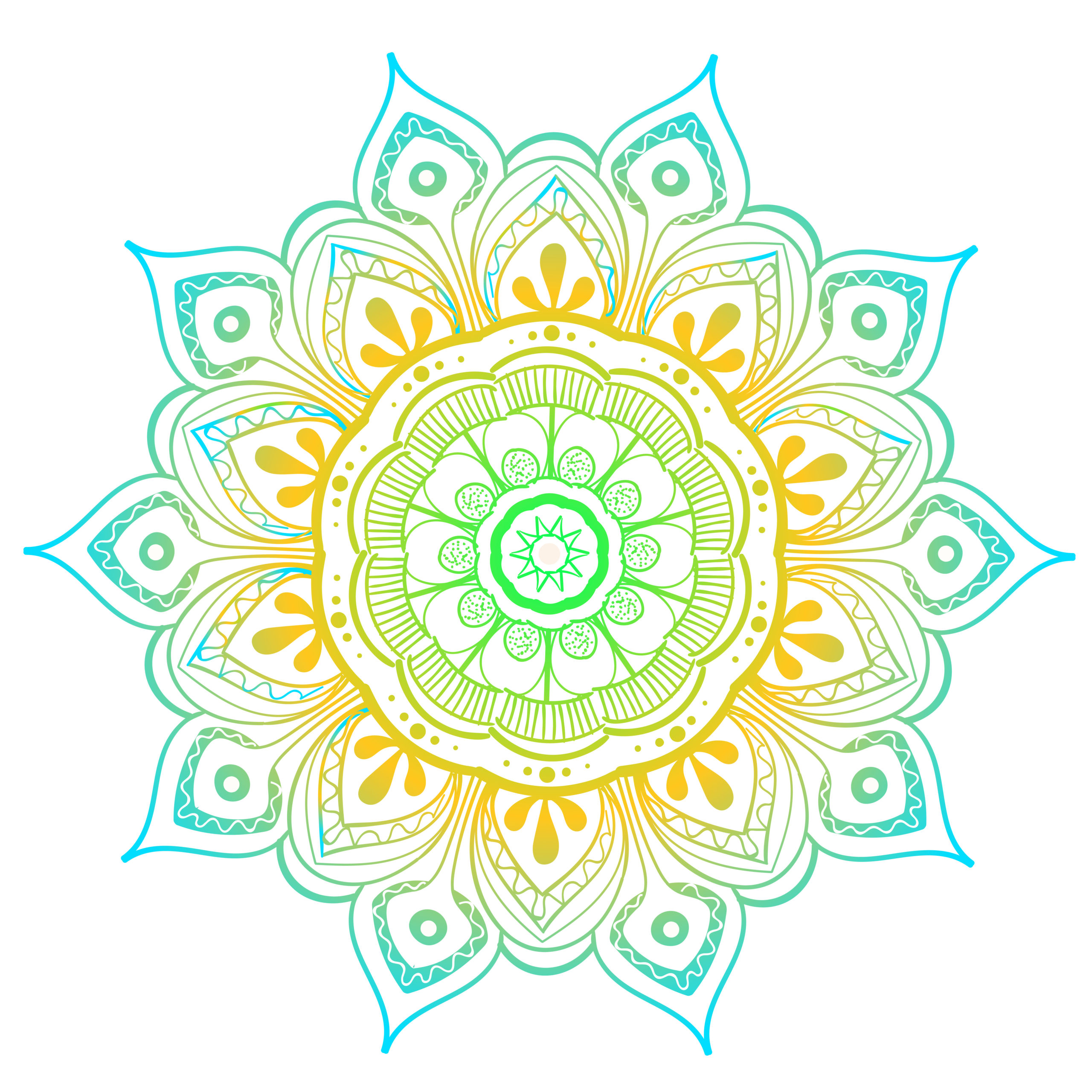 Mandala Vector Design Element. Round ornament decoration. Colorful flower pattern. Stylized floral motif. Complex flourish weave medallion. Tattoo print