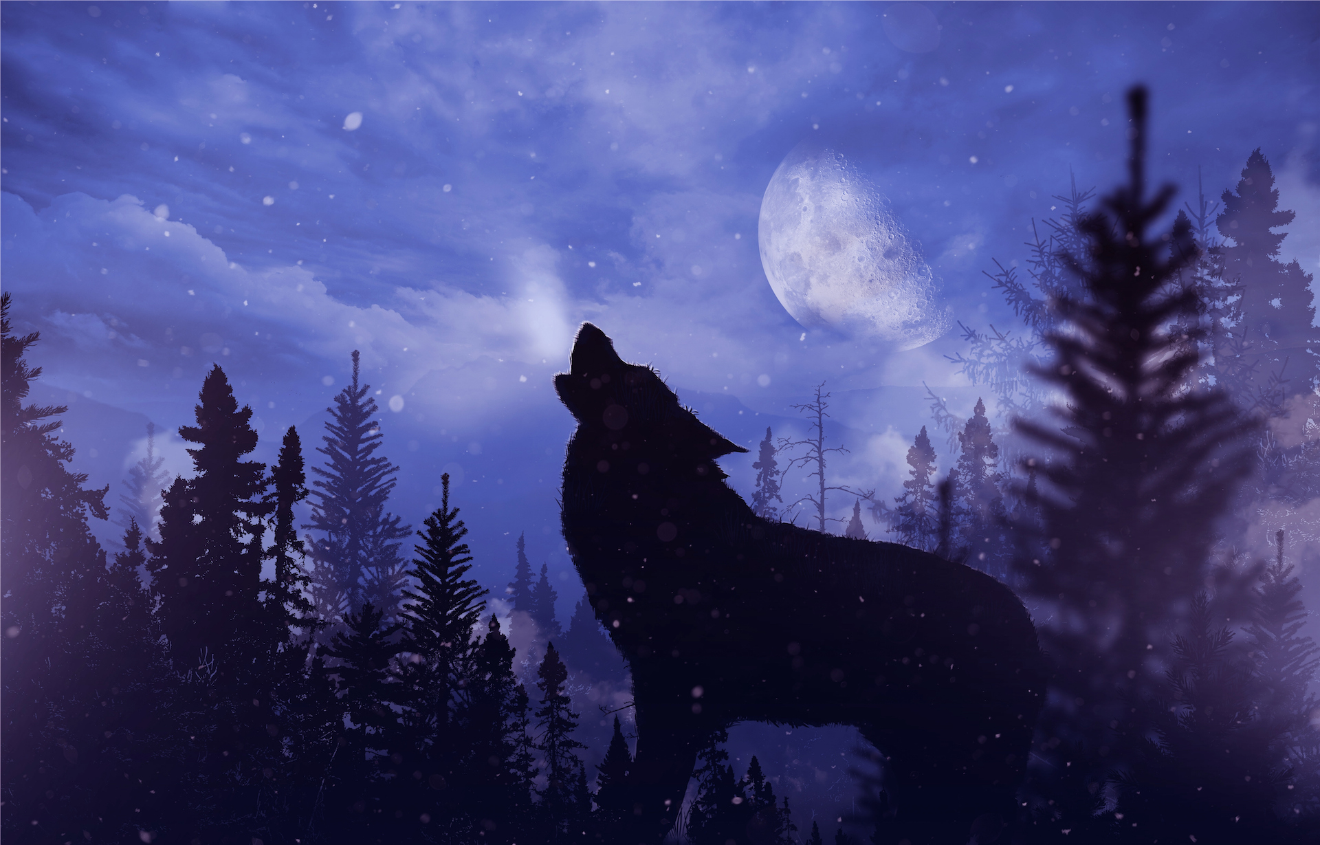 Howling Wolf in Wilderness