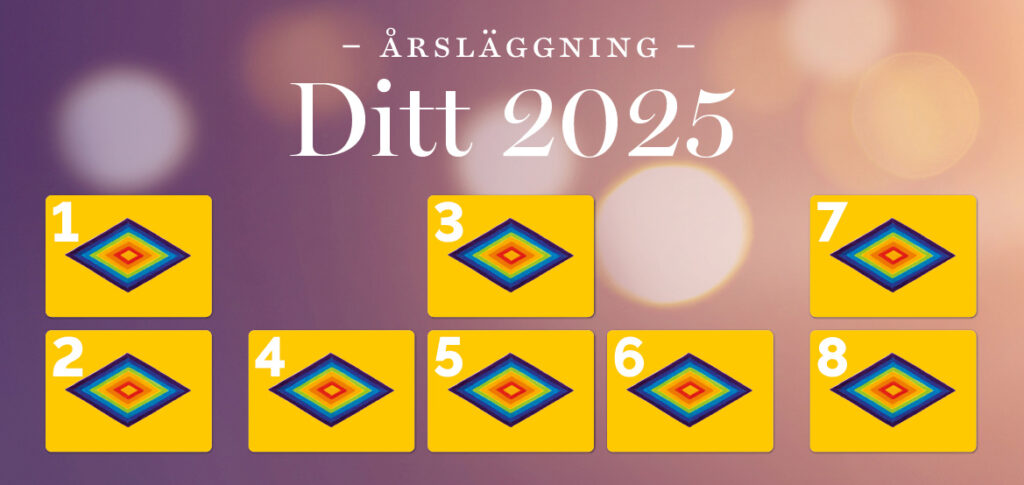 Ditt 2025