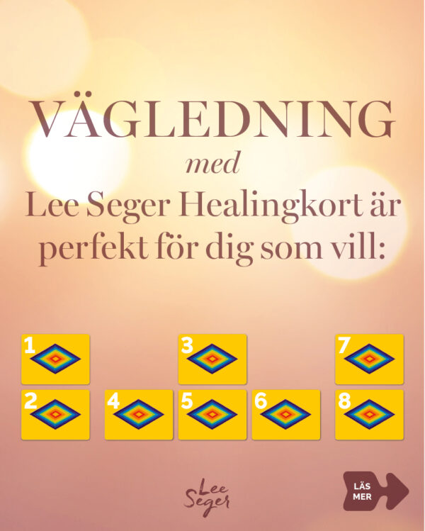 Vägledning 60 min - Bild 3